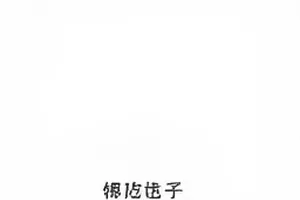 图书馆闭馆前五分钟封面，书架与闭馆提示灯